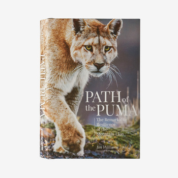 『Path Of The Puma: The Remarkable Resilience Of The Mountain Lion』英語版ハードカバー
