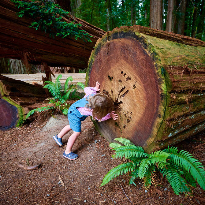 キッズ・ナチュラル